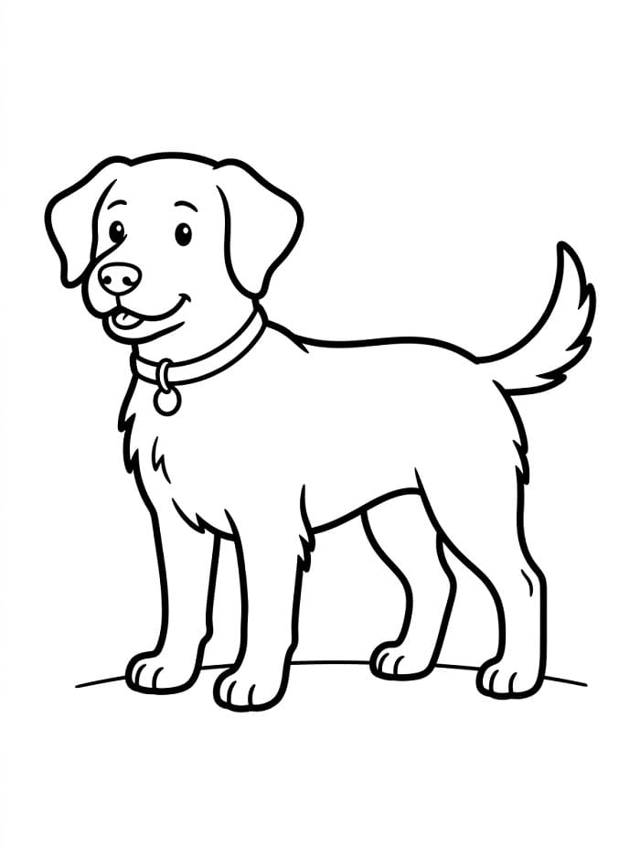 Gewone Hond