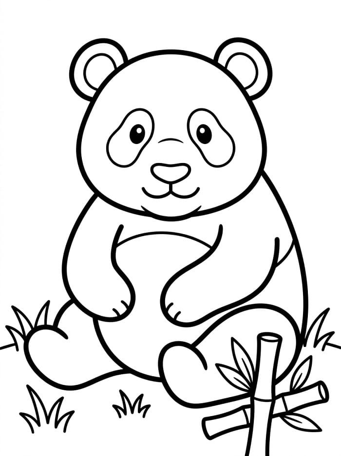 Gewone Panda