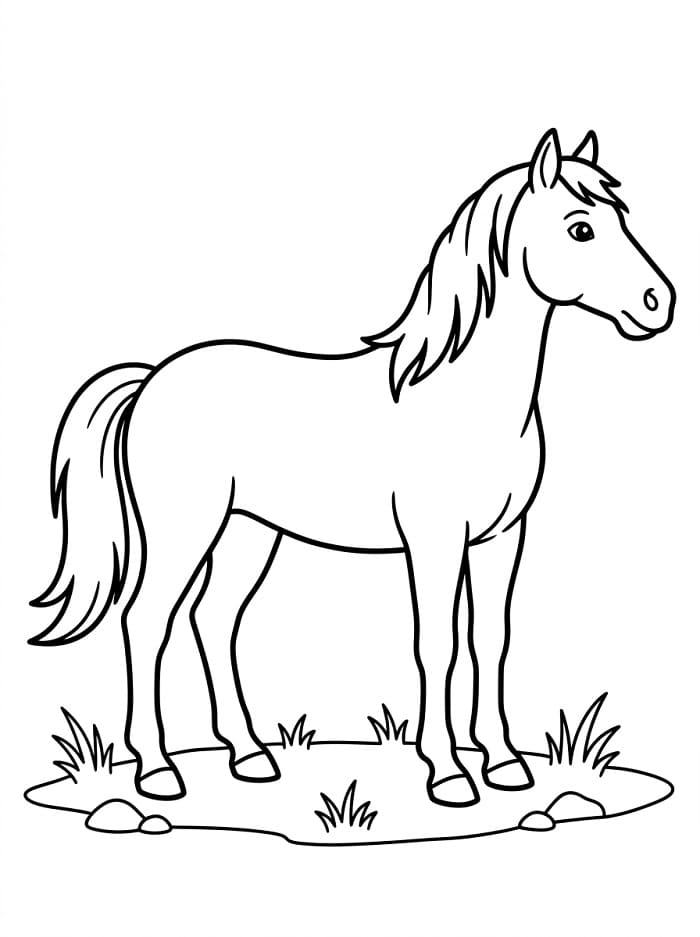Gewoon Paard