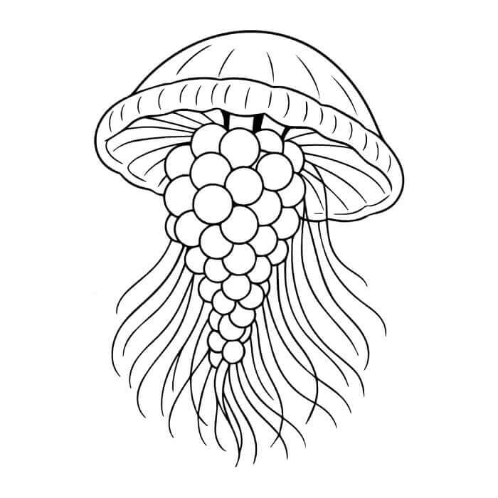 Graipussi Medussi Brainrot