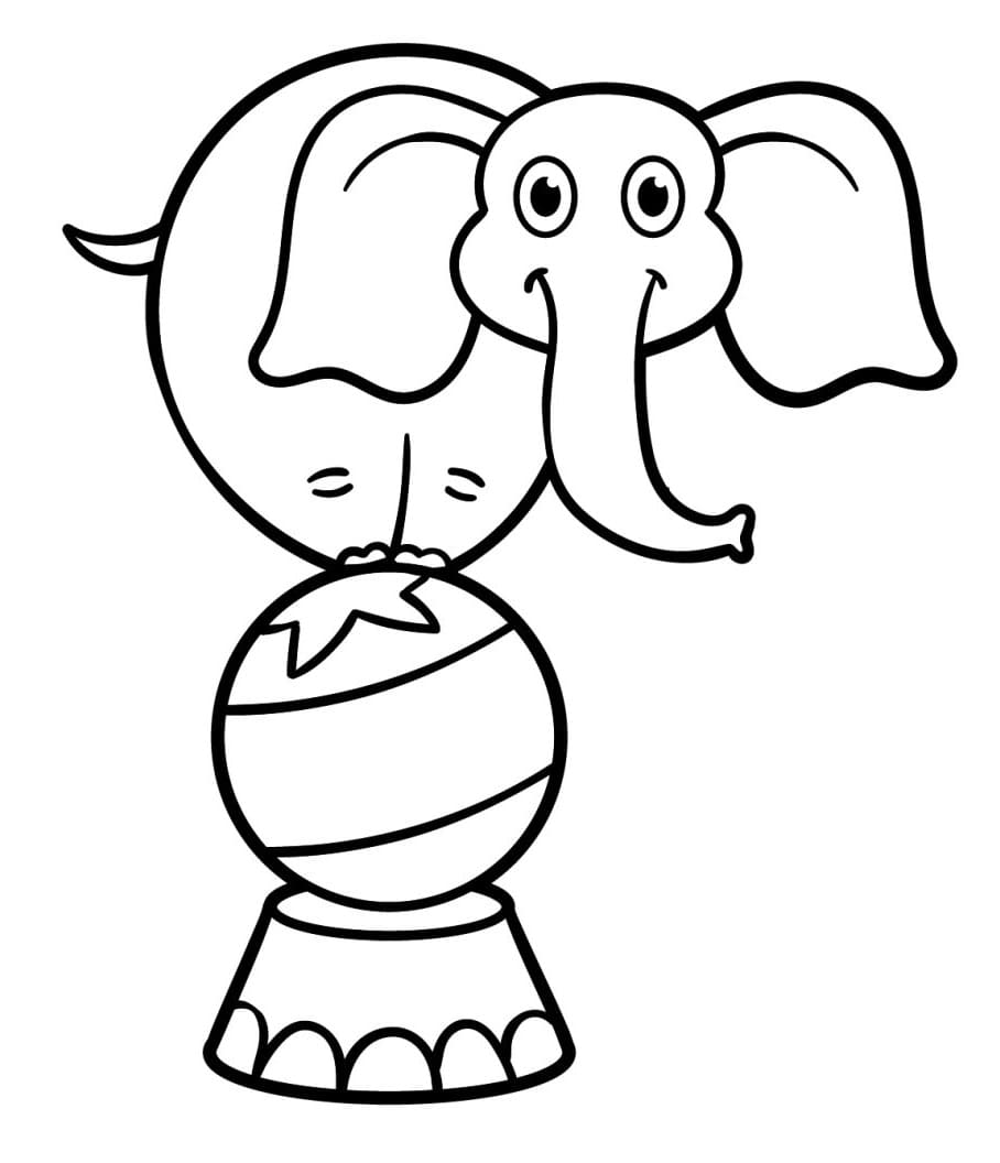 Grappig circus