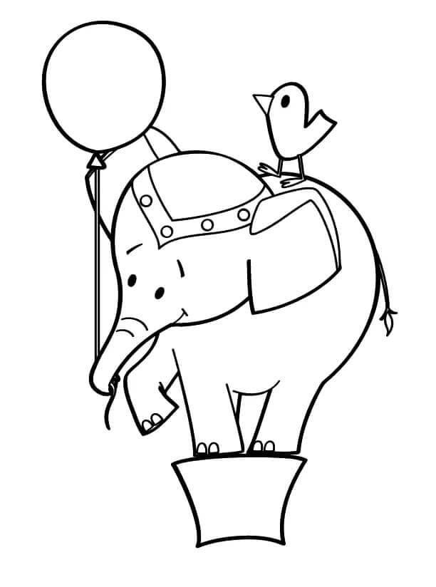 Gratis Afbeelding van een Olifant