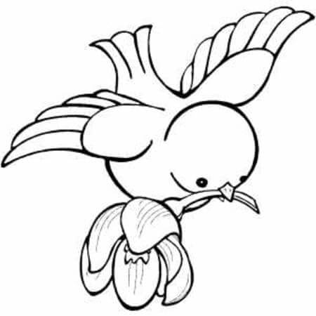 Gratis Afbeelding van een Vogel