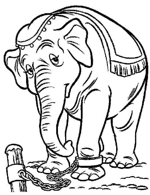 Gratis Dumbo voor Kinderen