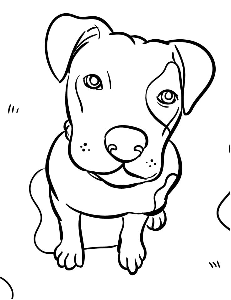 Gratis Hond voor Kinderen