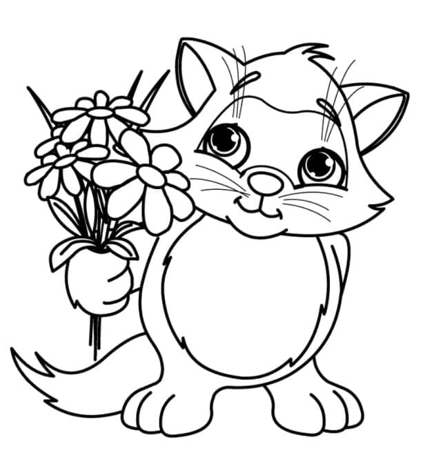 Gratis Kat Afbeelding