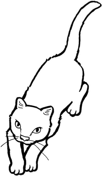 Gratis Kat voor Kinderen