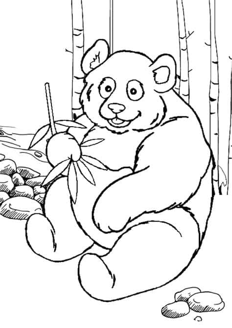 Gratis Panda Afbeelding