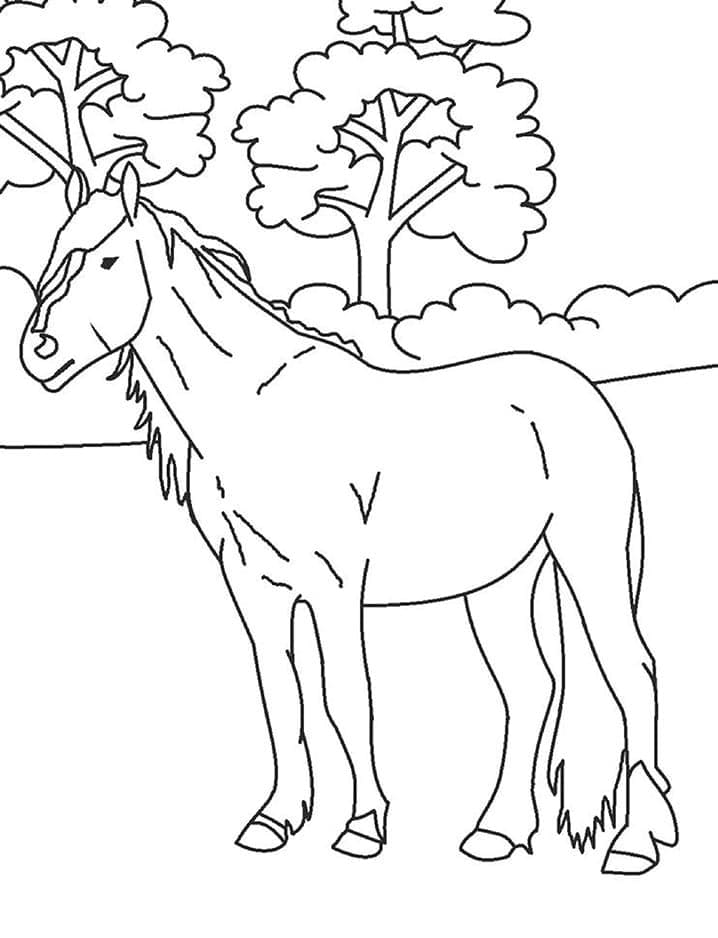 Gratis Printbaar Paard