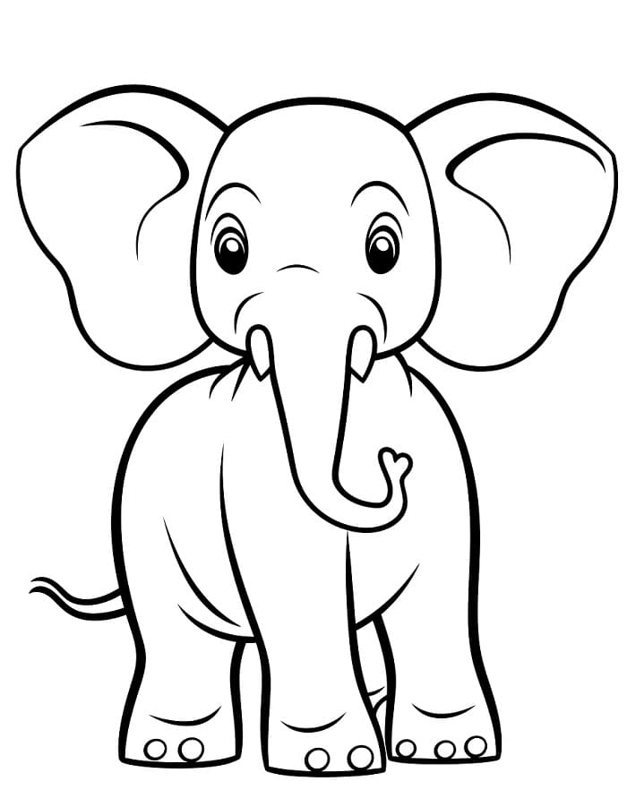 Gratis Printbare Olifant