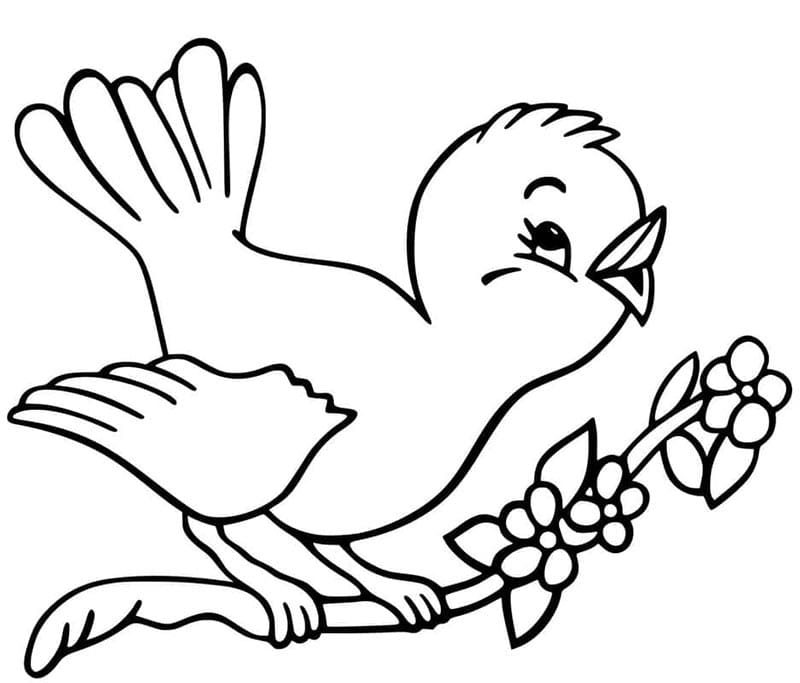 Gratis Vogel