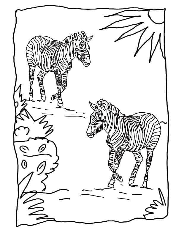 Gratis Zebra voor Kinderen