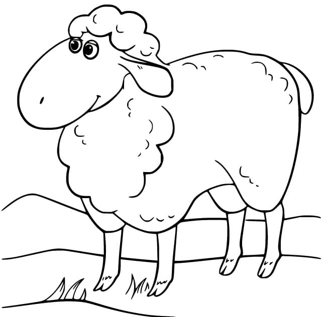 Gratis afbeelding van een schaap