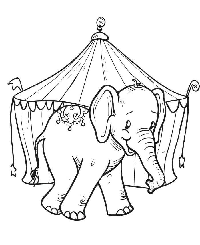 Gratis circus afbeelding