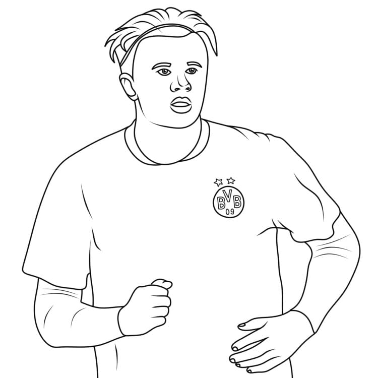 Gratis downloadbare Erling Haaland