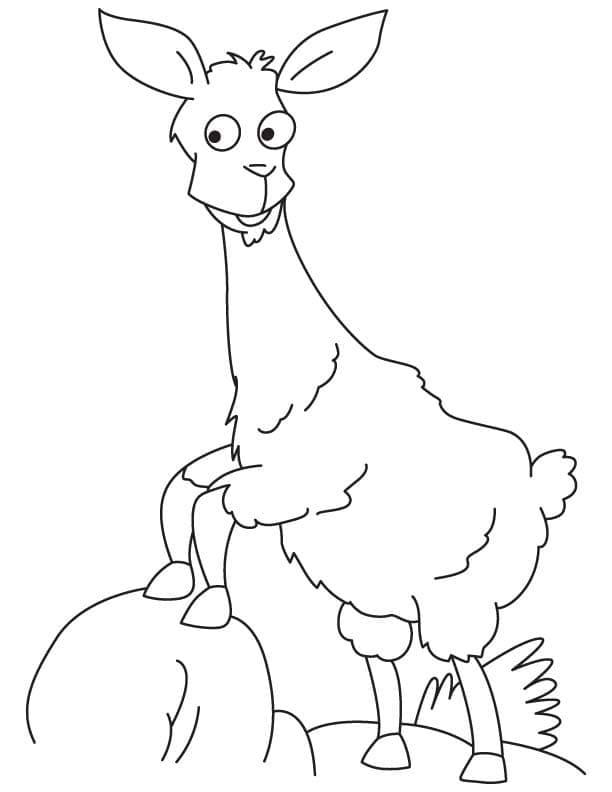 Gratis lama voor kids