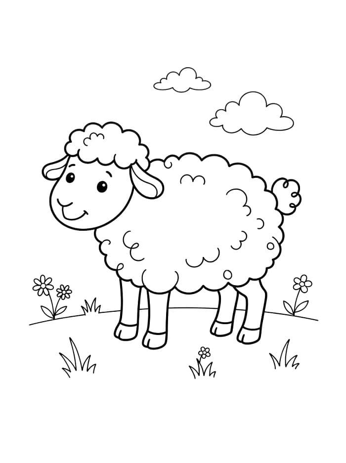 Gratis printbaar schaap
