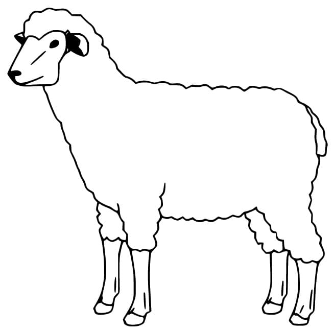 Gratis schaap om af te drukken