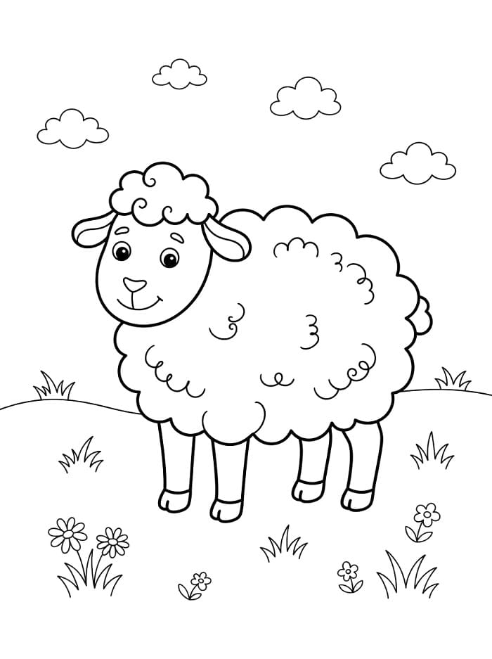Gratis schaap
