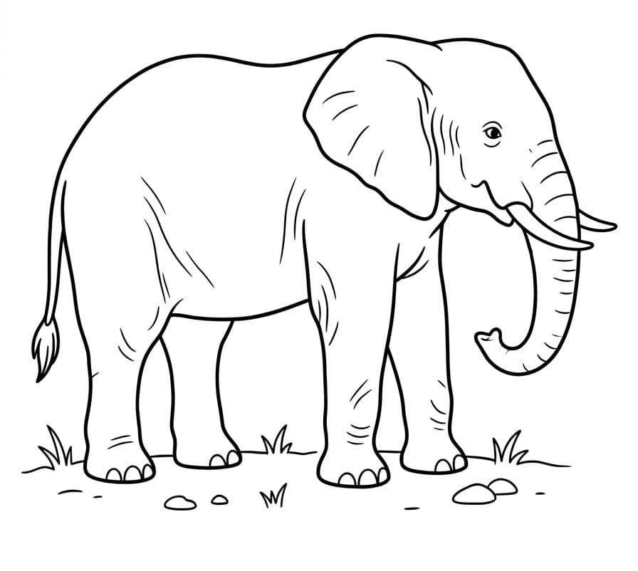 Grote Olifant