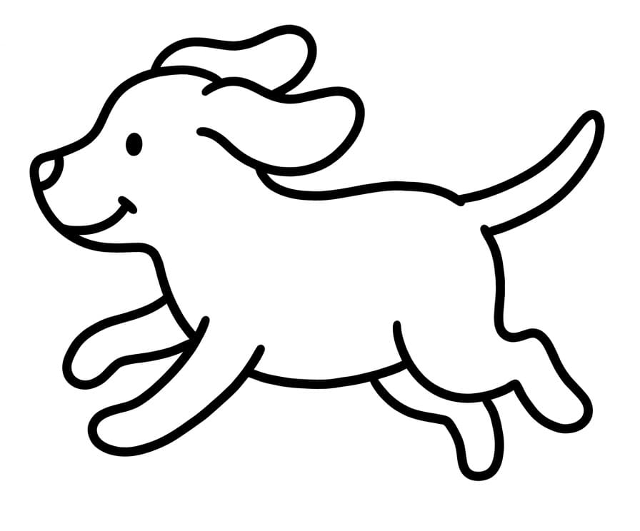 Hond Gratis