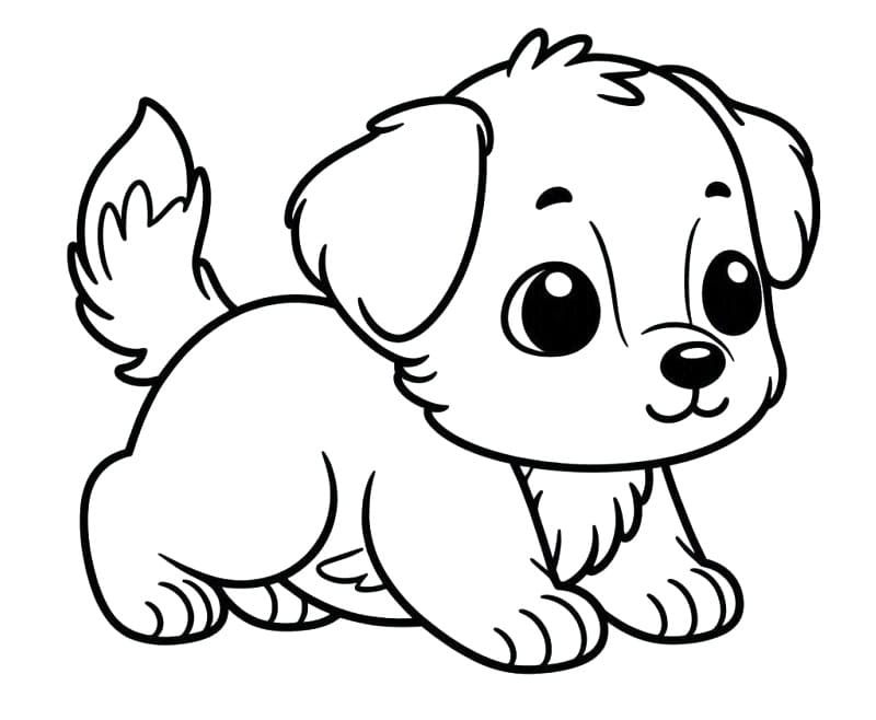 Hond