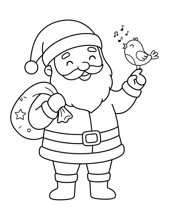 Kerstman met vogel