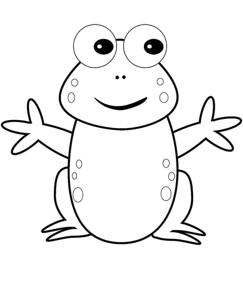 Kikker 1