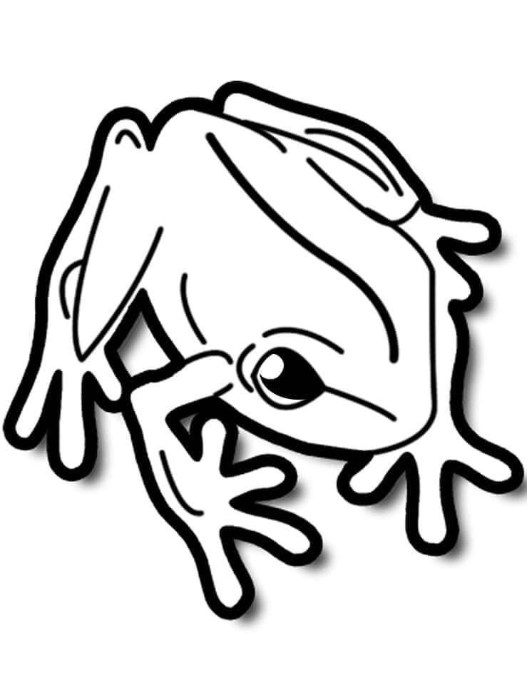 Kikker 2