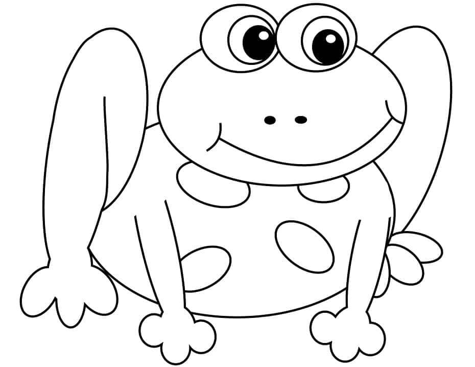 Kikker 3