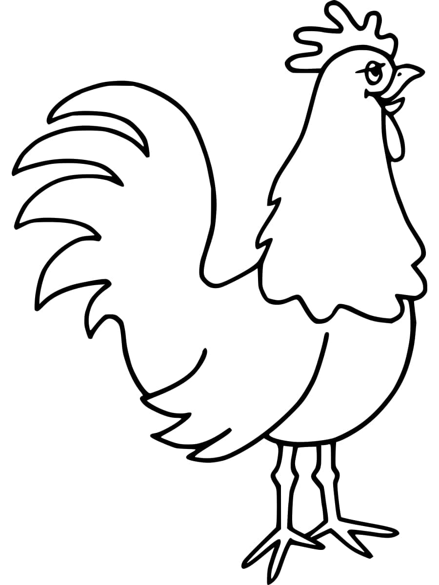 Kip afbeelding