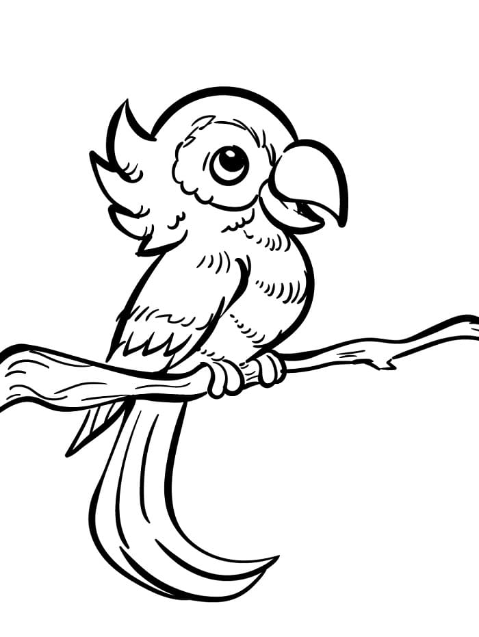 Kleine Vogel
