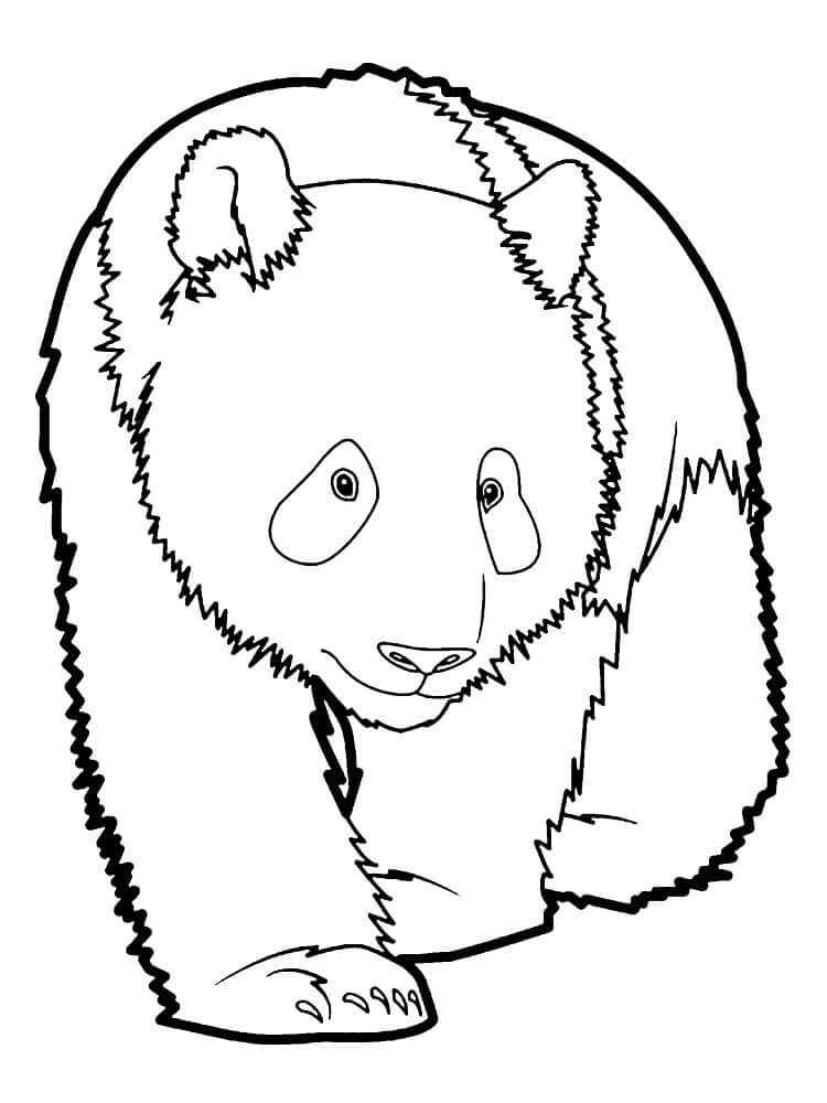 Kostenloze Panda om te Printen
