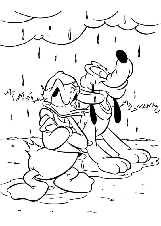 Kribbige Donald Duck
