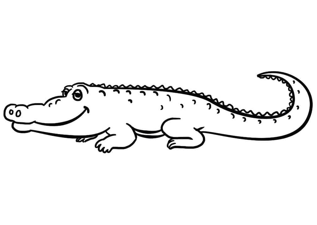 Krokodil Afbeelding