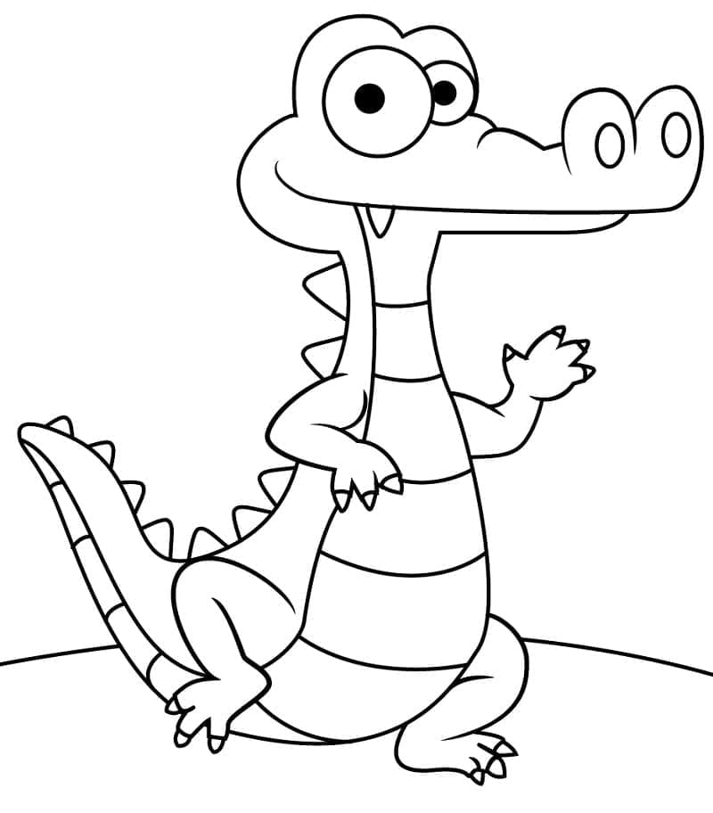Krokodil Zonder Kosten