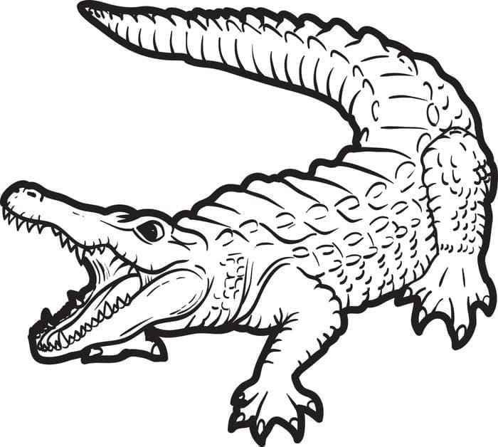Krokodil om Uit te Printen