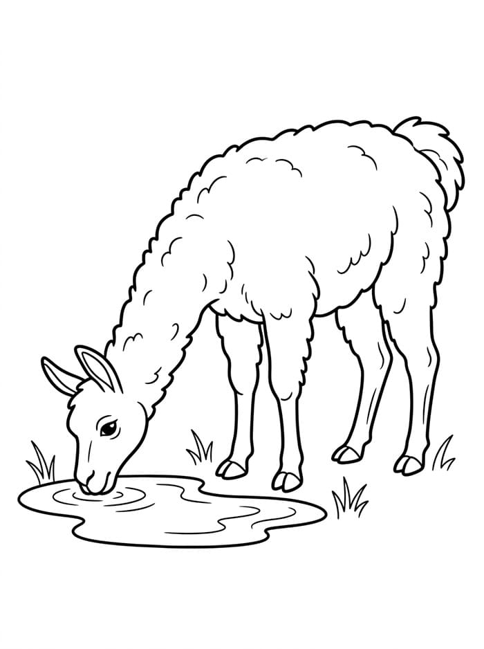 Lama gratis