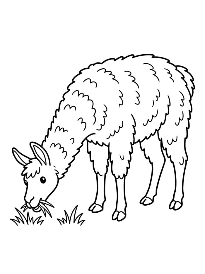 Lama kosteloos