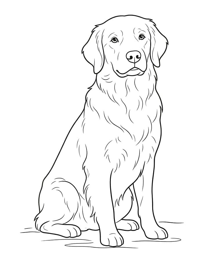 Leuke Hond