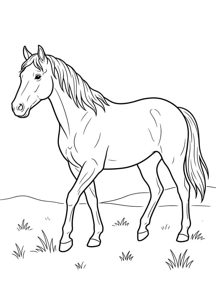 Lief Paard