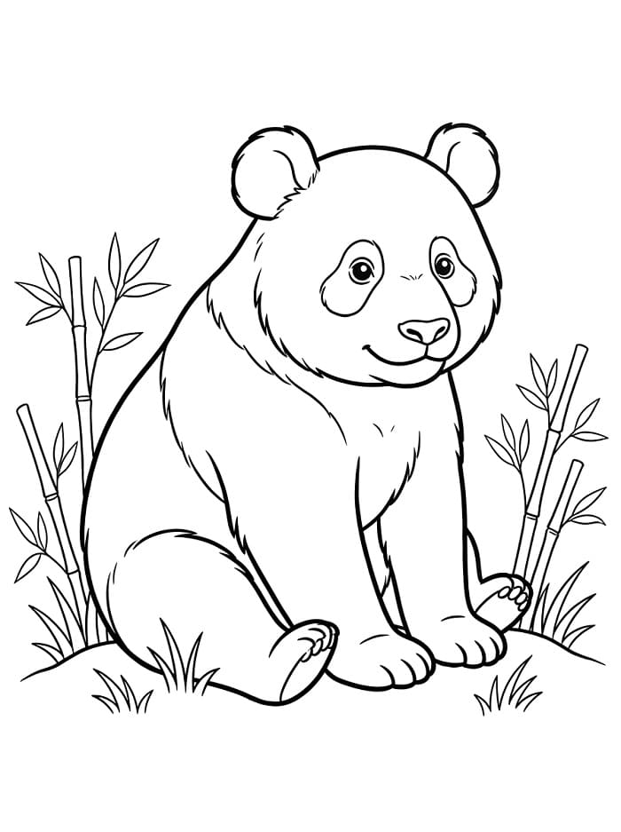 Lieve Panda