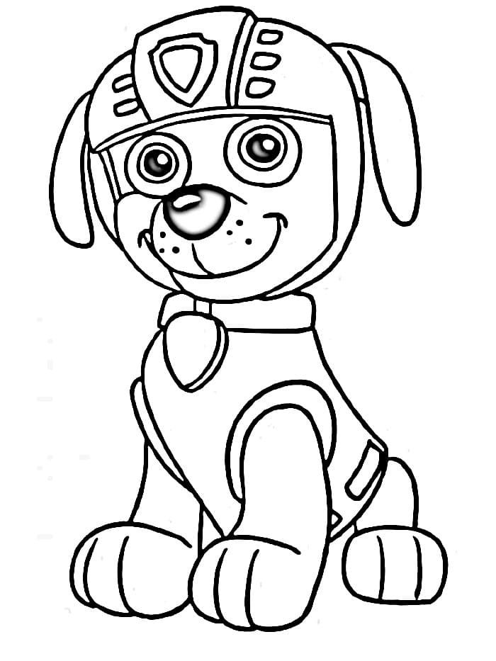 Lieve Paw Patrol