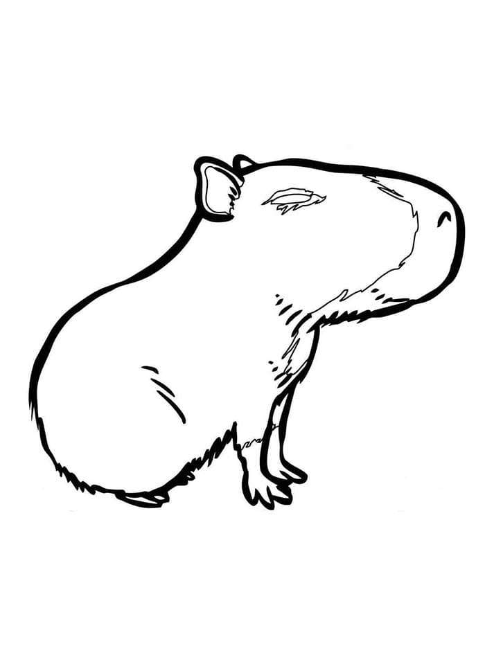 Makkelijke Capibara