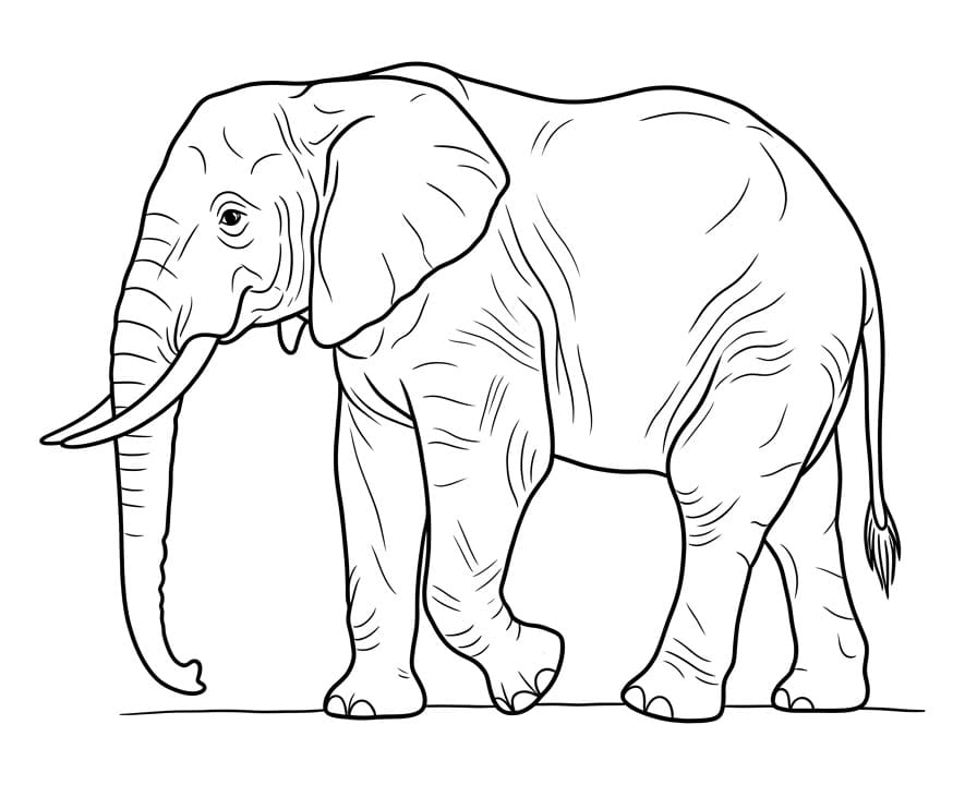 Makkelijke Olifant