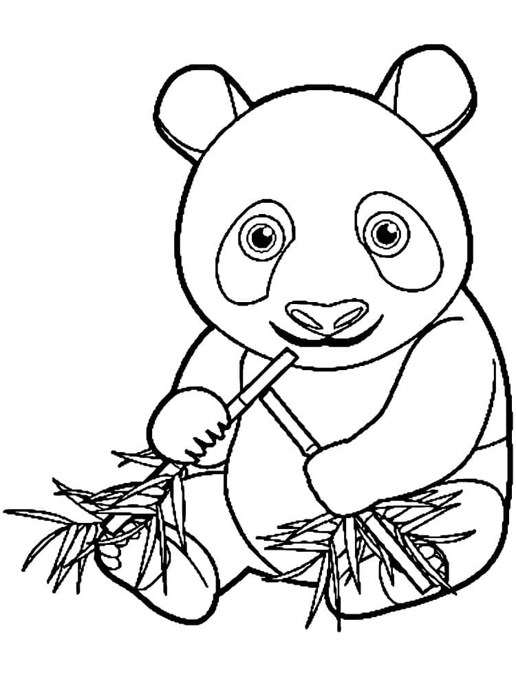 Makkelijke Panda