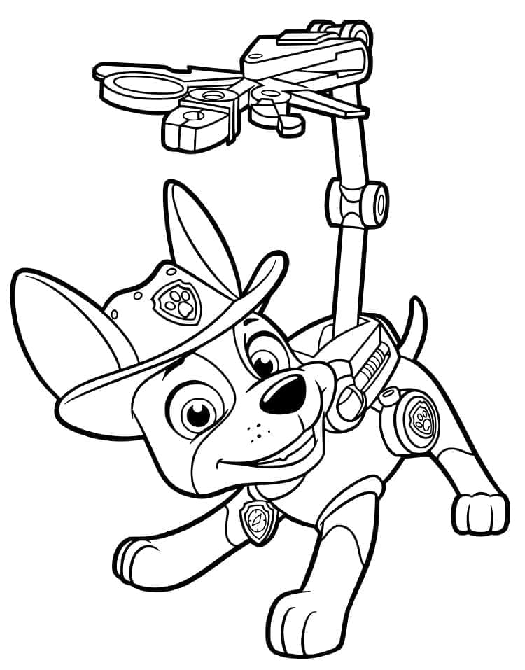 Makkelijke Paw Patrol