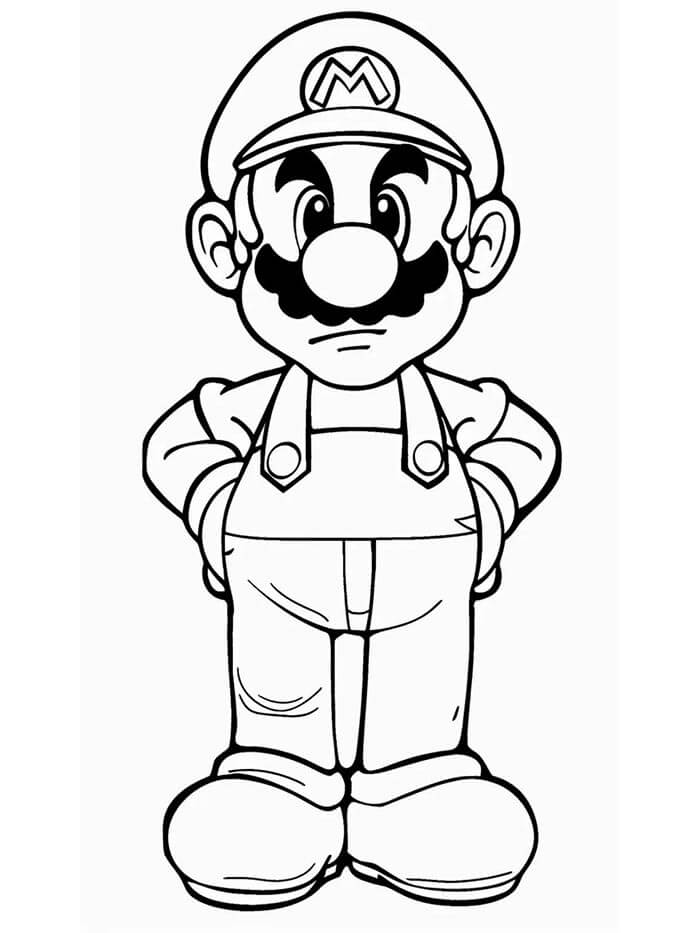 Mario 6