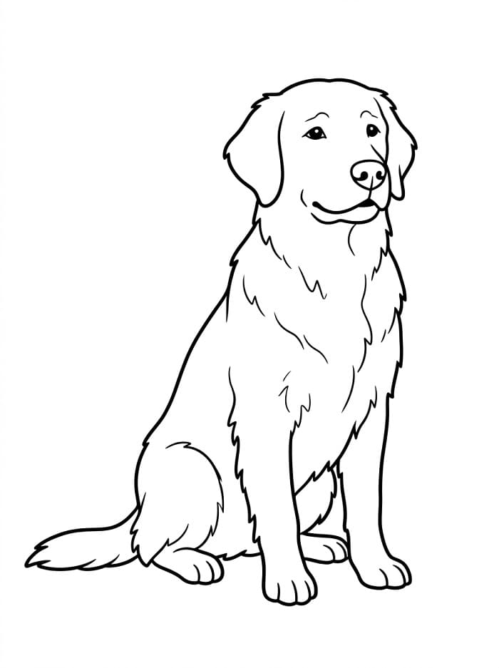 Mooie Hond