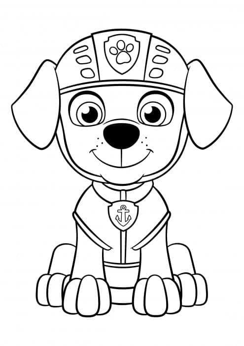 Mooie Paw Patrol